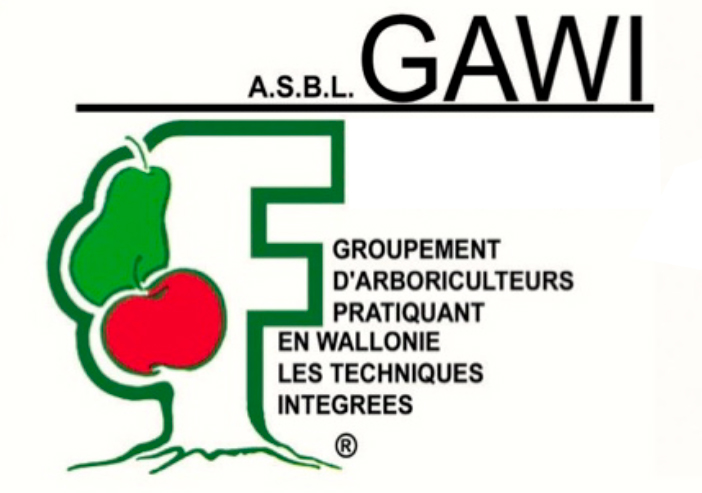 logo gawi
