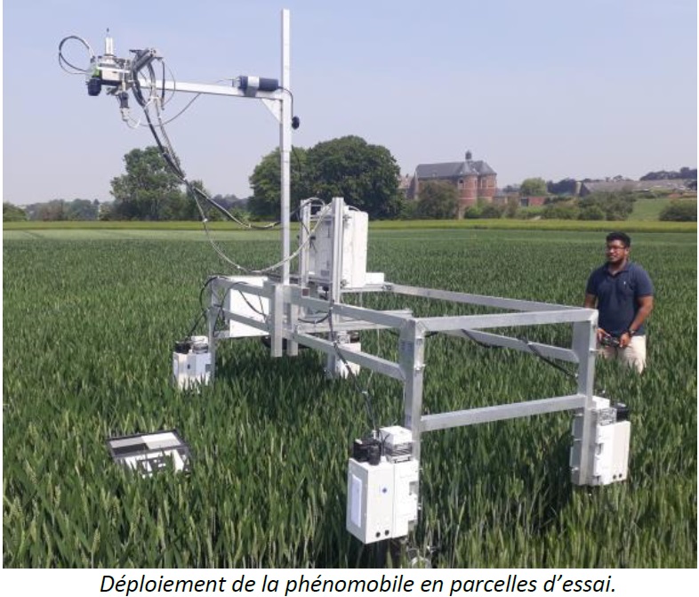 Déploiement de la phénomobile du projet Phenwheat en parcelles d'essai