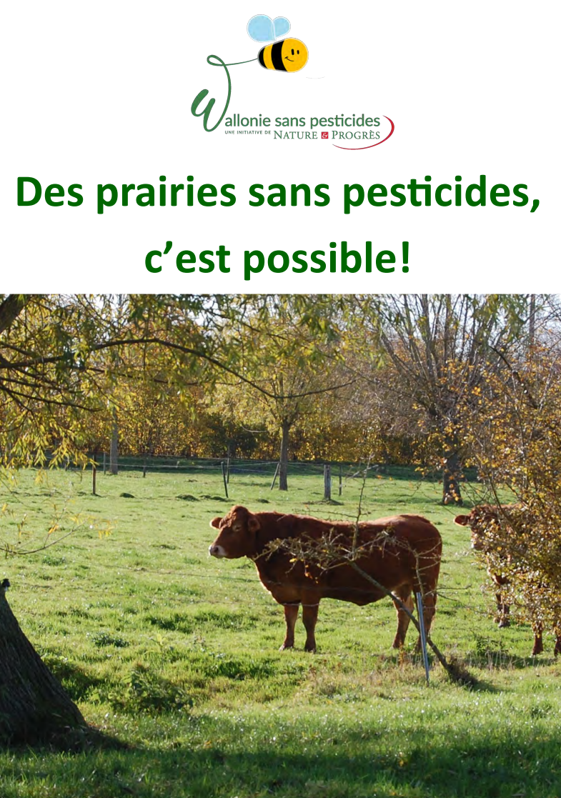 Brochure - Des prairies sans pesticides, c'est possible !