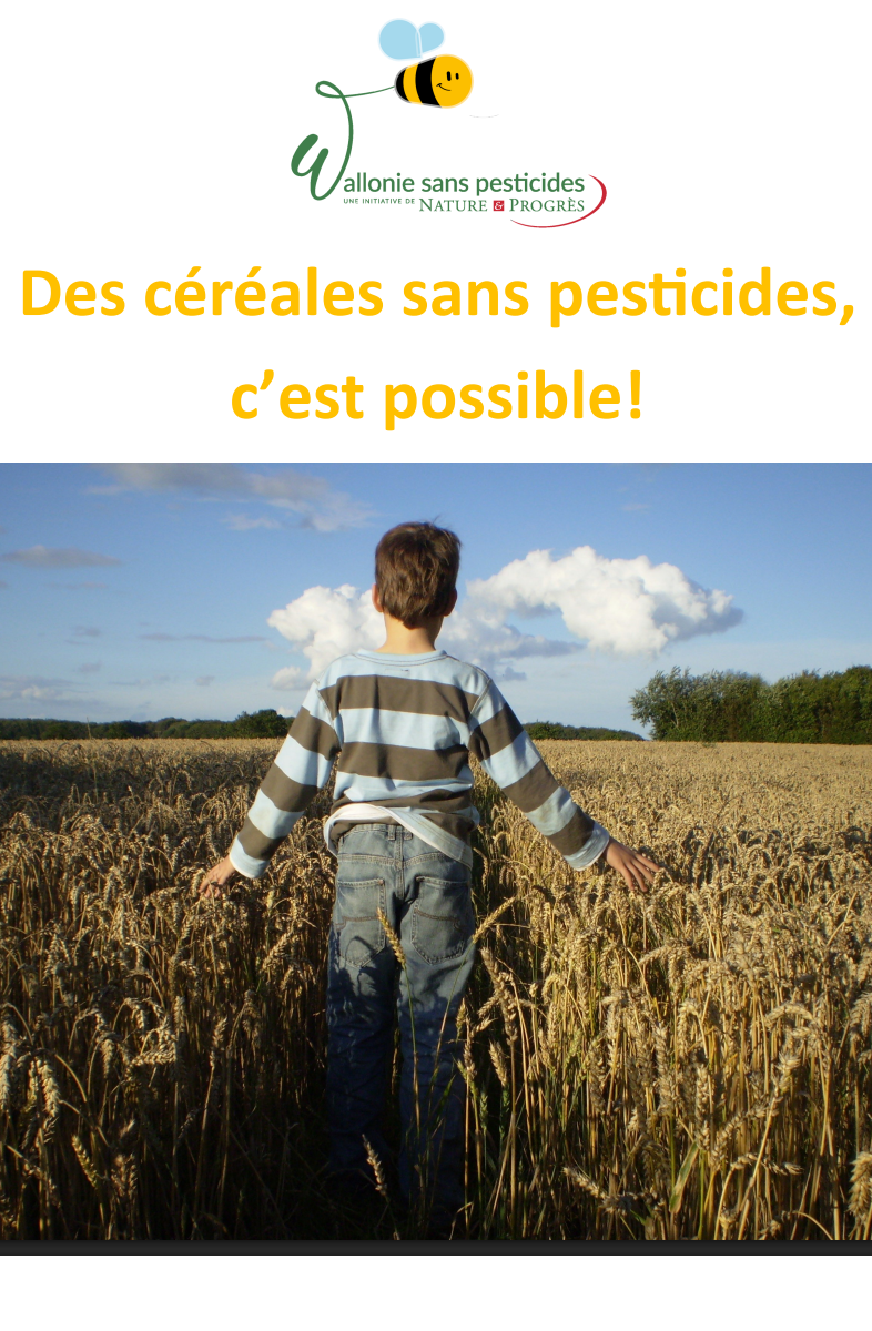 Alternatives aux pesticides dans les céréales