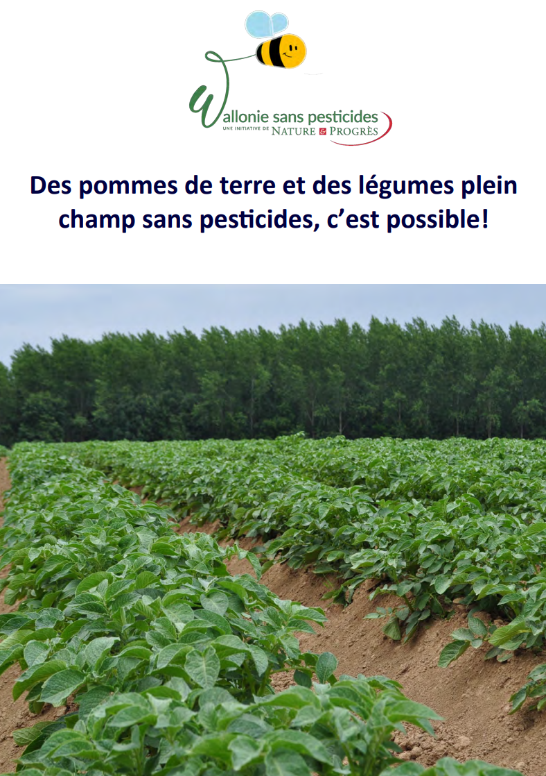 Des pommes de terre et des légumes plein champ sans pesticides, c'est possible !