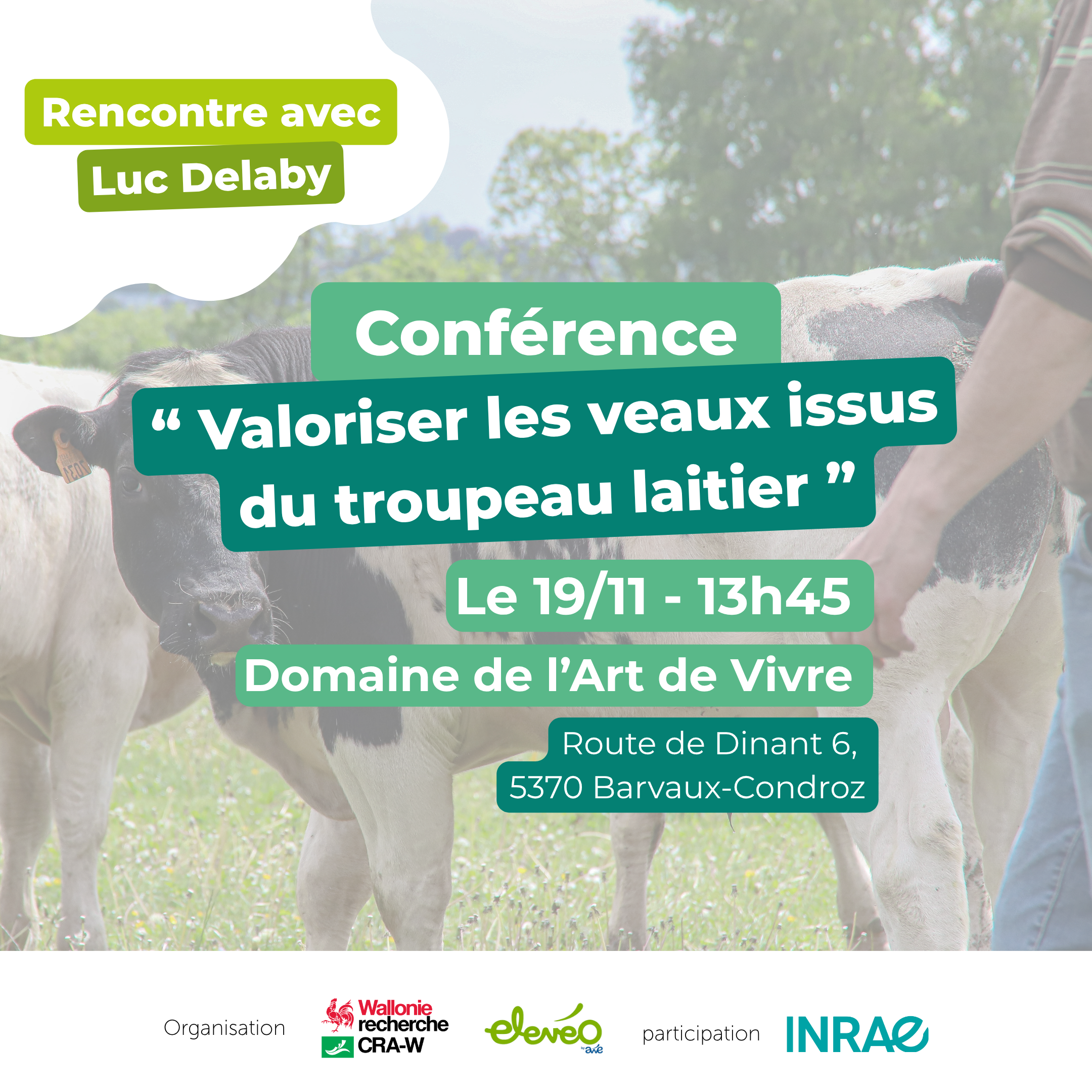 veau