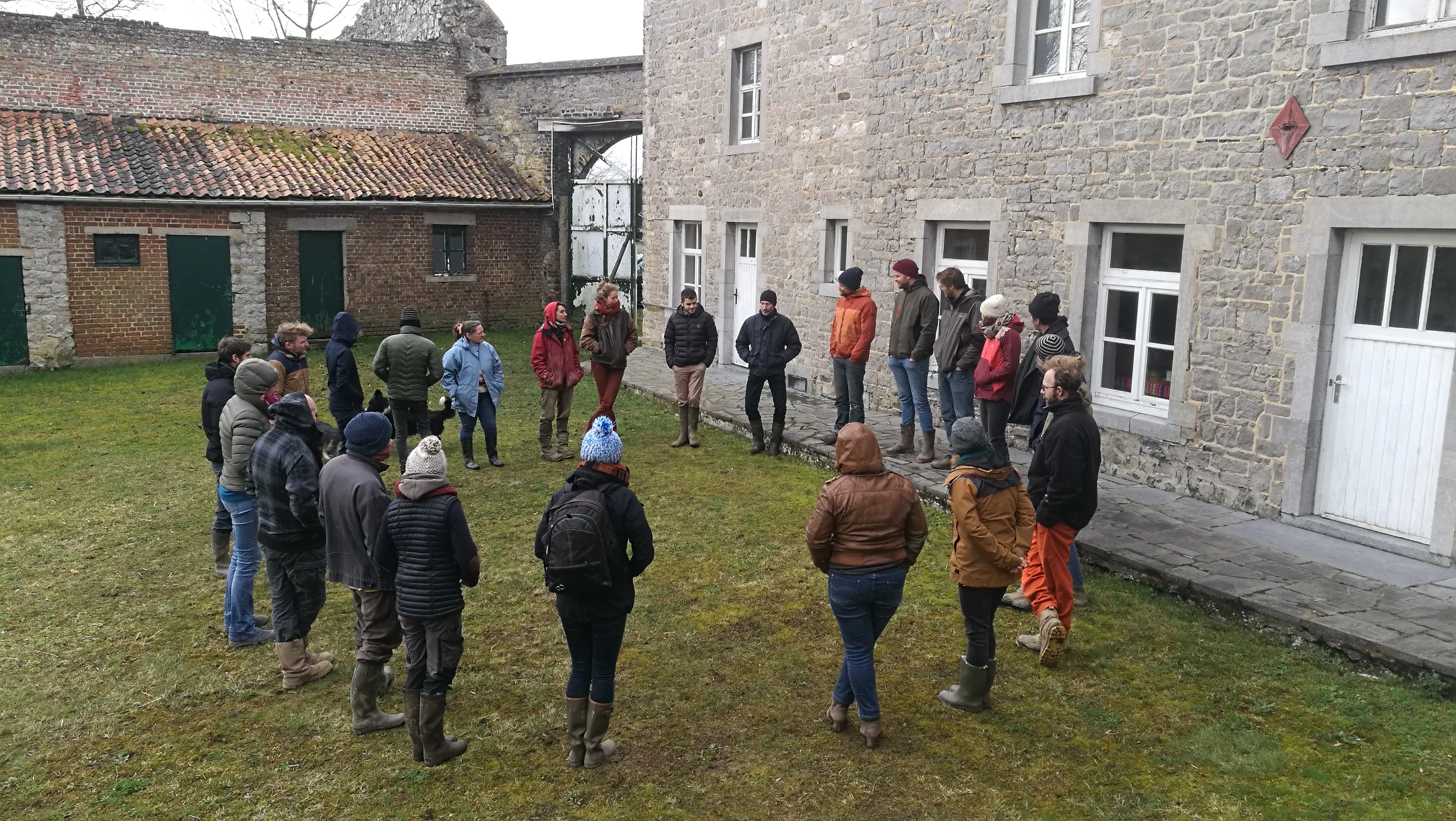 CAE ferme des arondes