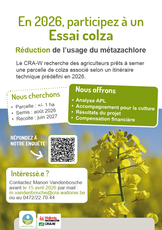 Visuel essai colza