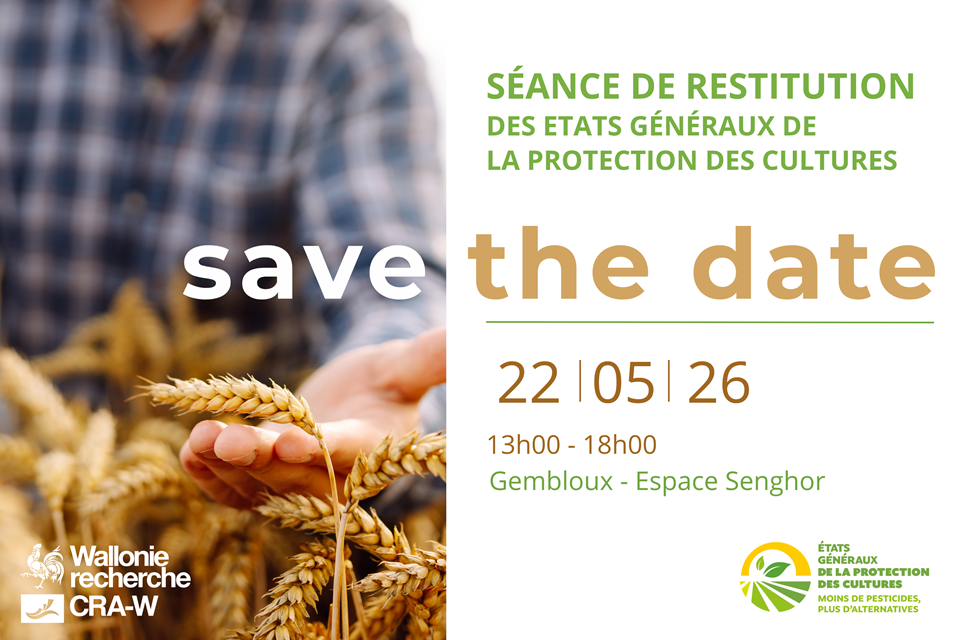 save the date