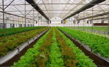 Smartfarming