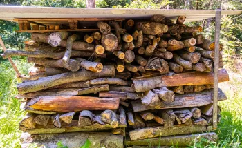 Filière bois