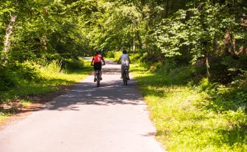 Fonction sociale de la forêt