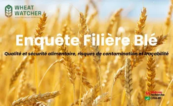 affiche enquête filière blé