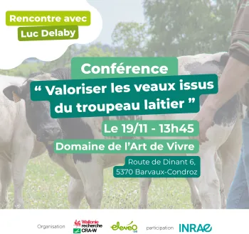 veau