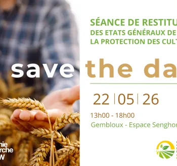 save the date
