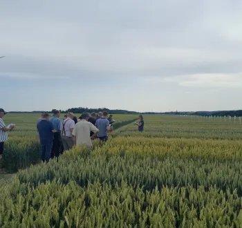 visite essais